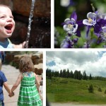 Permalink to Summer in the Mountains vail july 2010