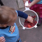 Permalink to Summer Slipping Away kids raspberries