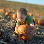Permalink to Ben at 1.5 big pumpkin