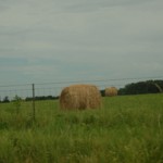 Permalink to The Definition of Insanity fields