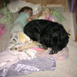 Permalink to You Just Never Know … tabby's nest