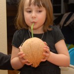 Permalink to The HAPS coconut
