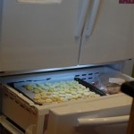 Permalink to The New Fridge is Chilly fridge