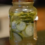 Permalink to Refrigerator Pickles DIYpickles