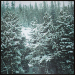 snowyscene